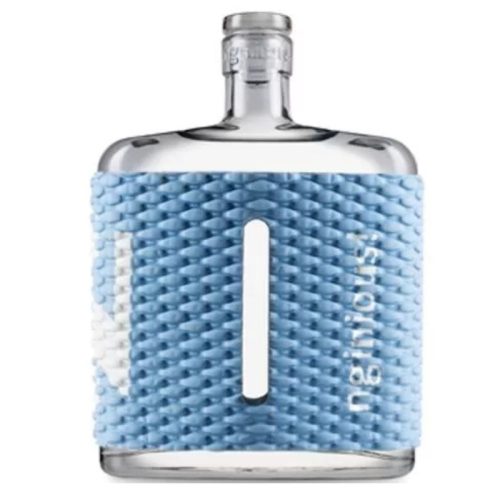 Nginious! Gin Summer 0,5l